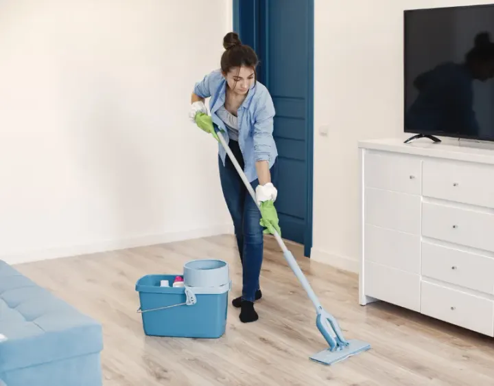 Femme de ménage Épieds